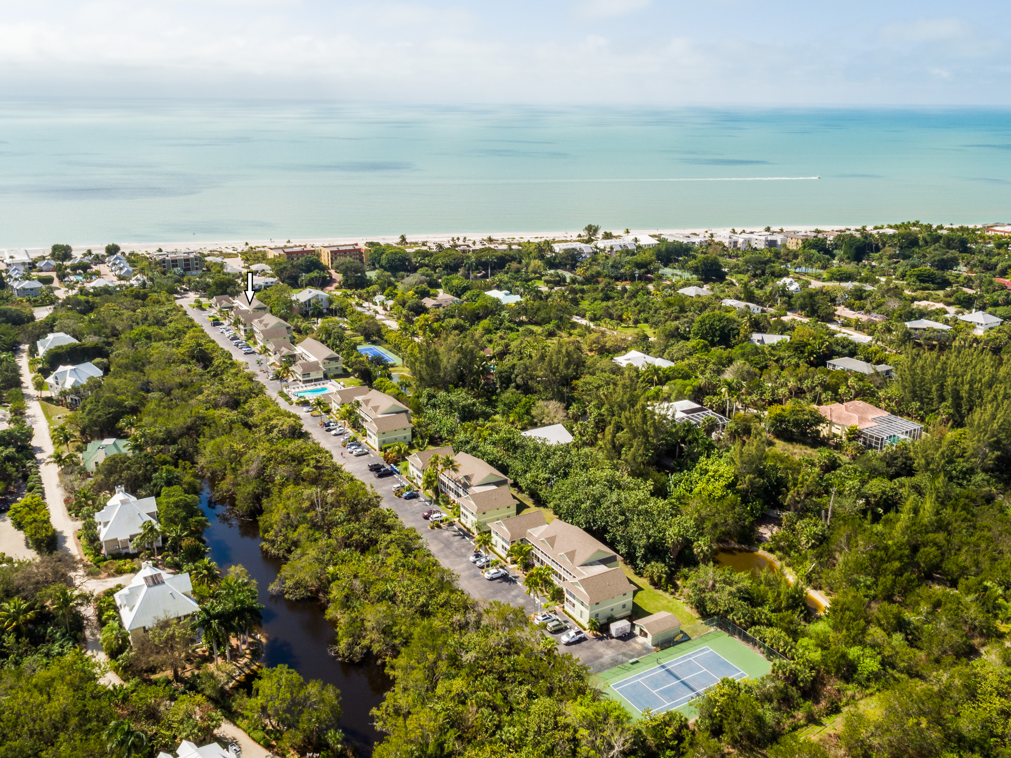 Just Listed Seashells #3!